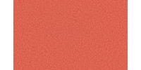 LIDO_TREND_151