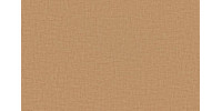 LIDO_TREND_157