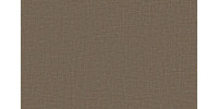 LIDO_TREND_75