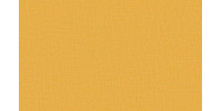 LIDO_TREND_80