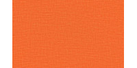 LIDO_TREND_81