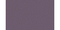 LIDO_TREND_91
