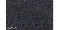 Icon_79