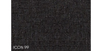 Icon 99
