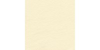 Lambada_white_6115