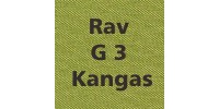 Rav G3