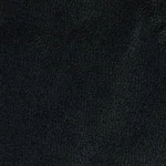 Kangas 0100