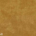 Kangas Terra48
